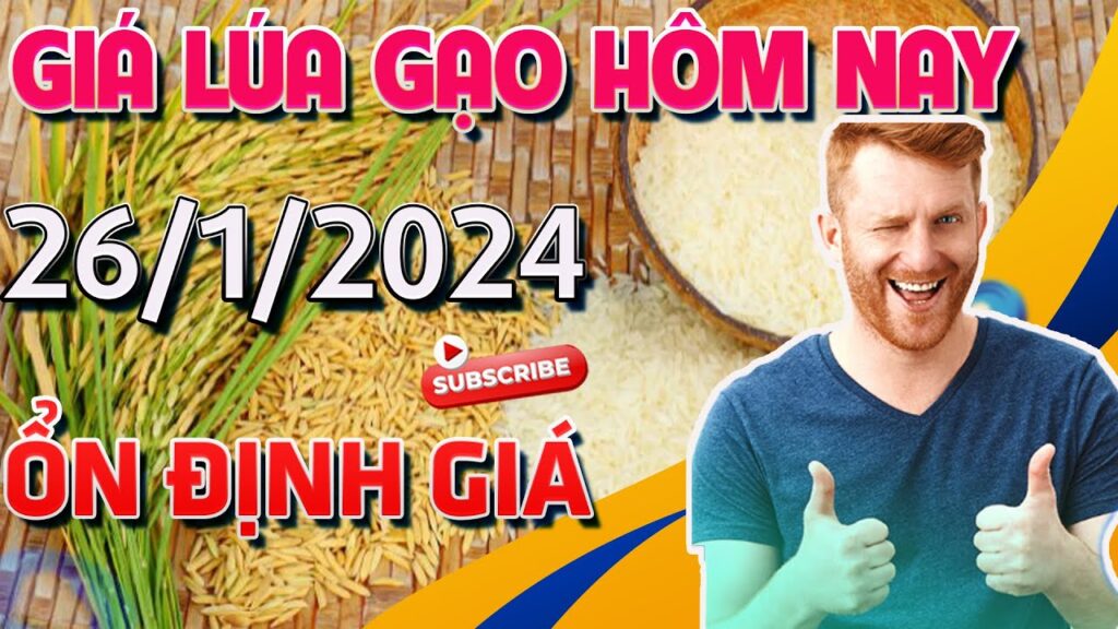 Giá Lúa Gạo Hôm Nay 26/1/2024